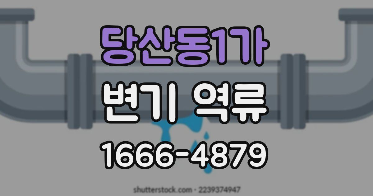 당산동1가 변기 역류