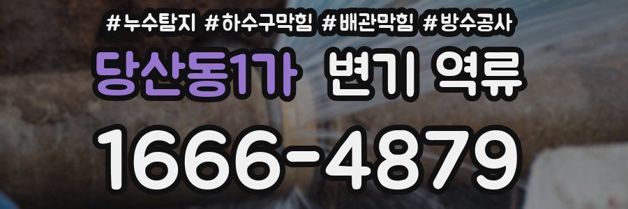 당산동1가 변기 역류
