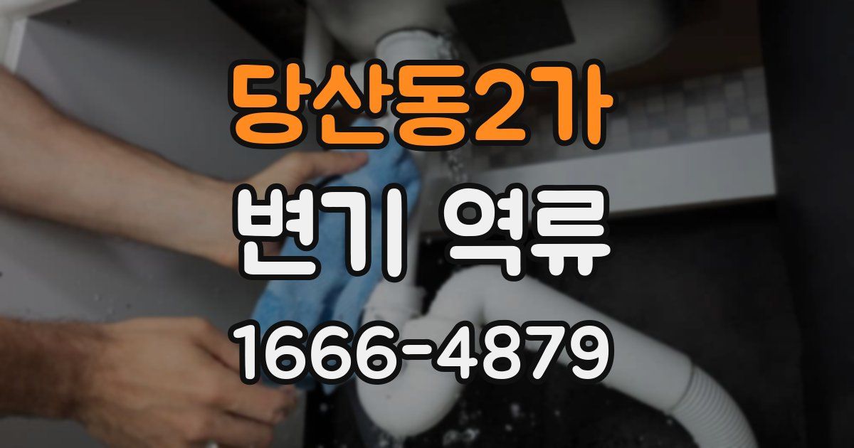 당산동2가 변기 역류