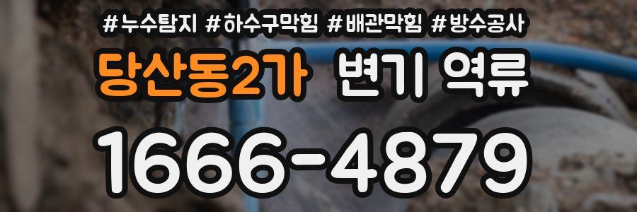 당산동2가 변기 역류