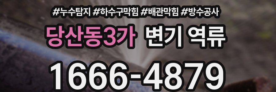 당산동3가 변기 역류
