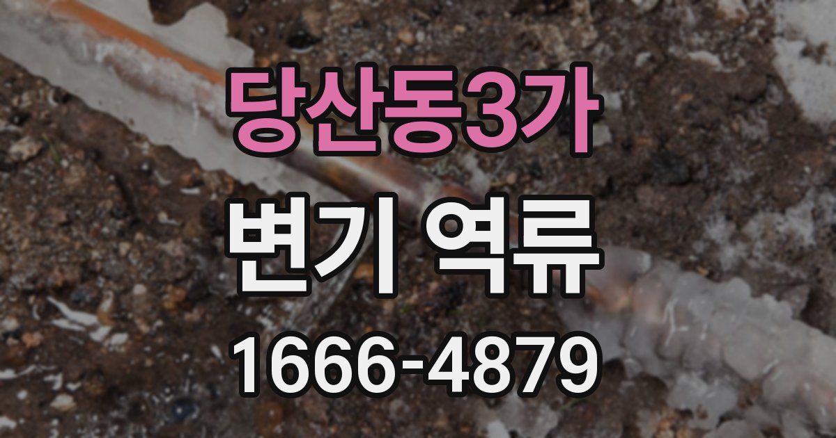 당산동3가 변기 역류