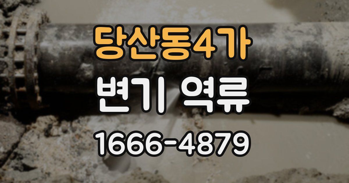 당산동4가 변기 역류