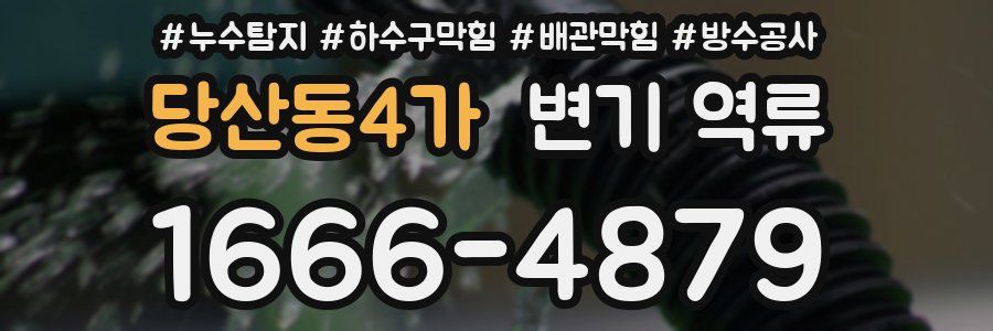 당산동4가 변기 역류