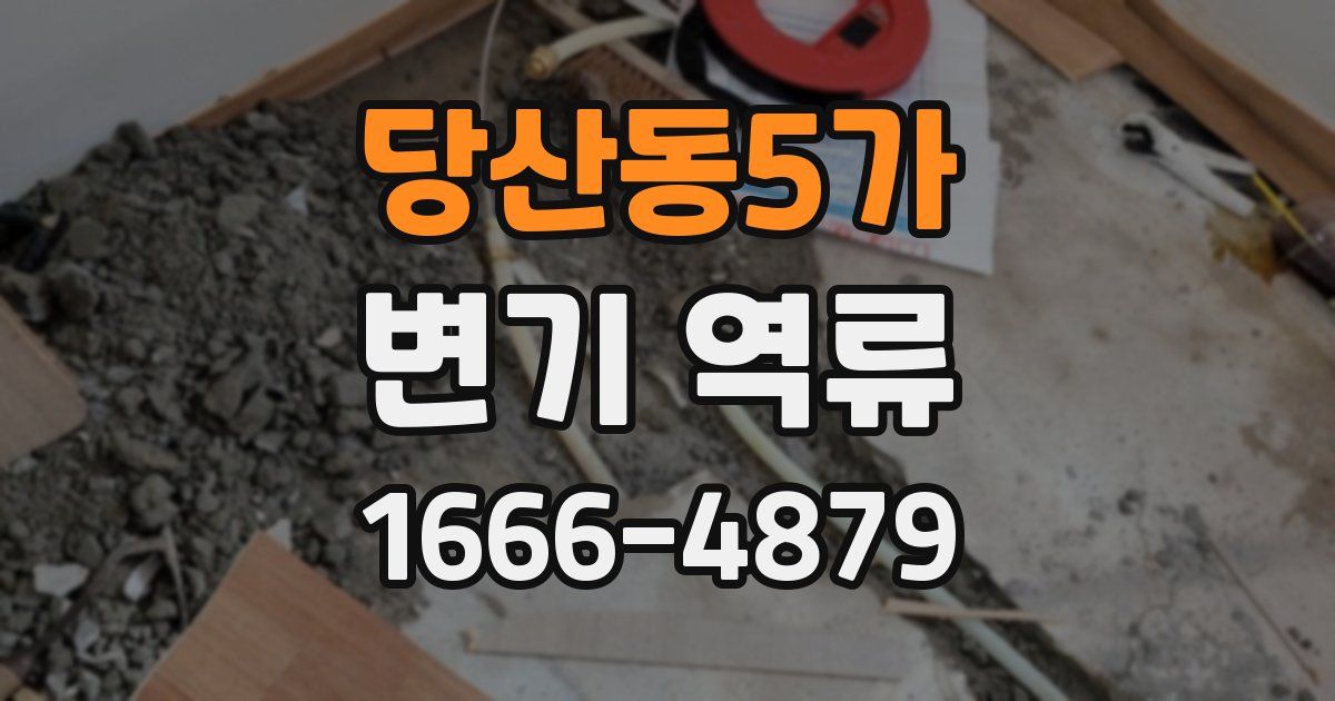 당산동5가 변기 역류