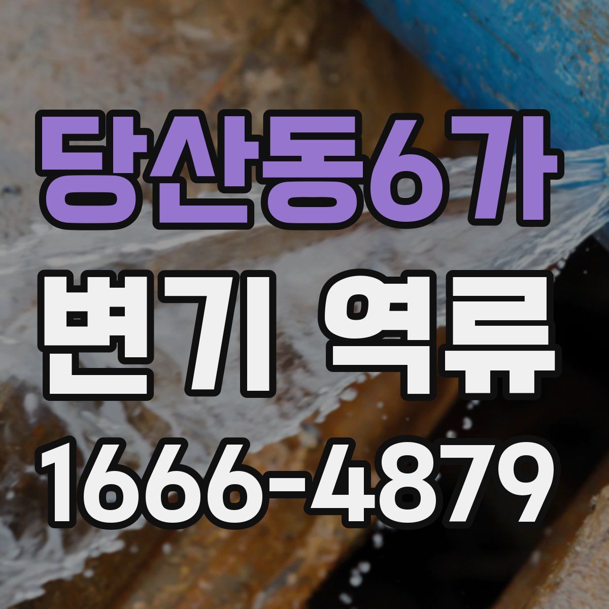 당산동6가 변기 역류