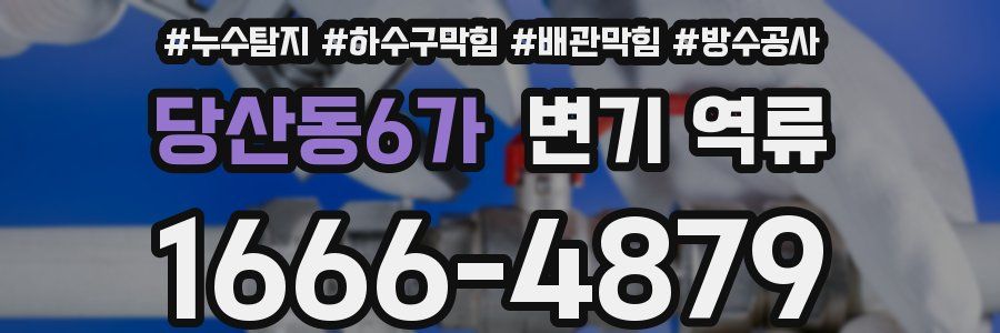 당산동6가 변기 역류