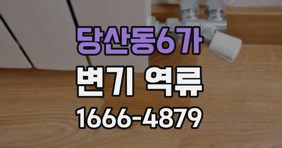 당산동6가 변기 역류