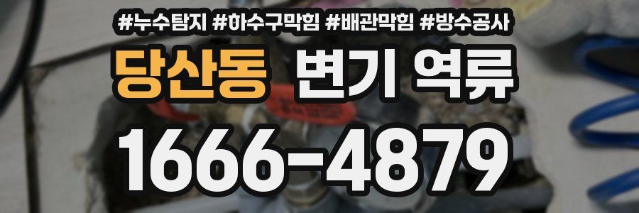 당산동 변기 역류