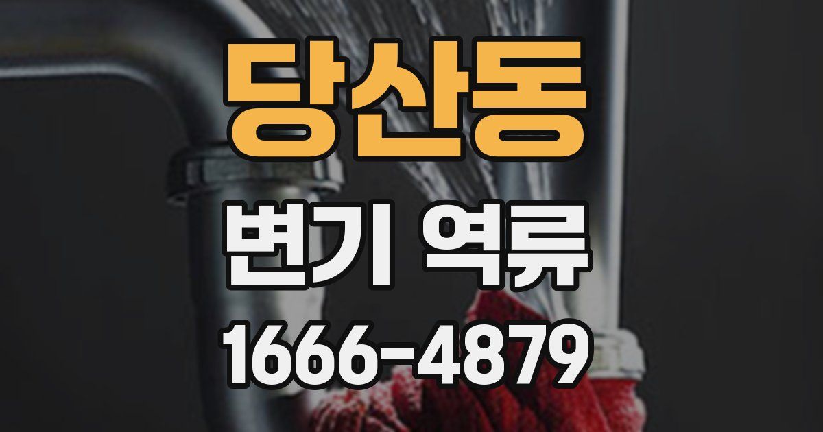 당산동 변기 역류
