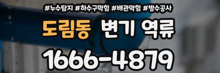 도림동 변기 역류