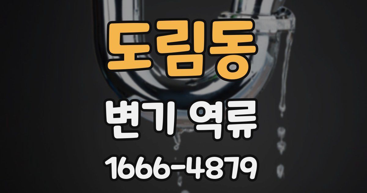 도림동 변기 역류