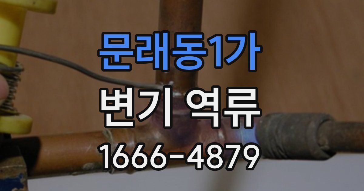 문래동1가 변기 역류