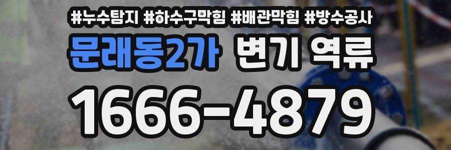 문래동2가 변기 역류