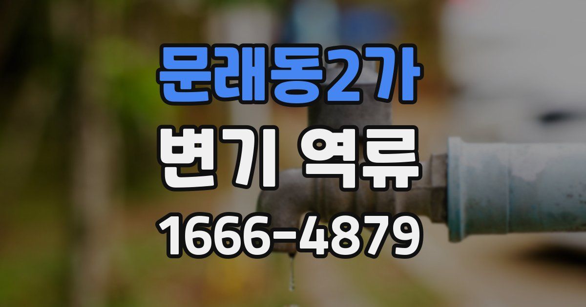 문래동2가 변기 역류