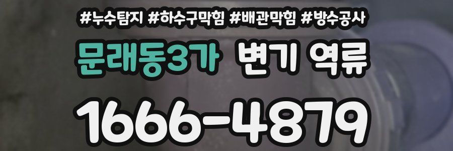 문래동3가 변기 역류