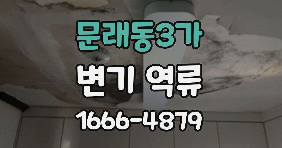 문래동3가 변기 역류
