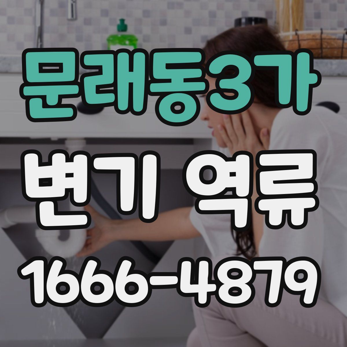 문래동3가 변기 역류
