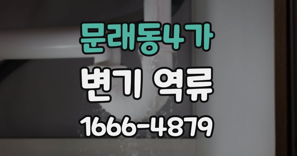 문래동4가 변기 역류