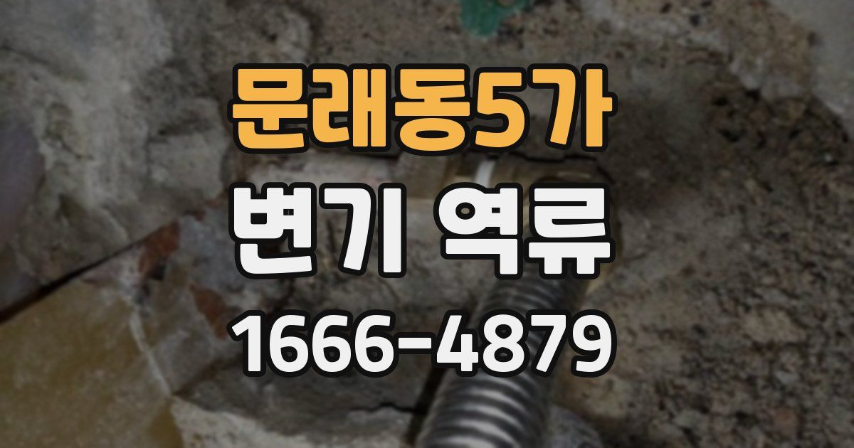 문래동5가 변기 역류
