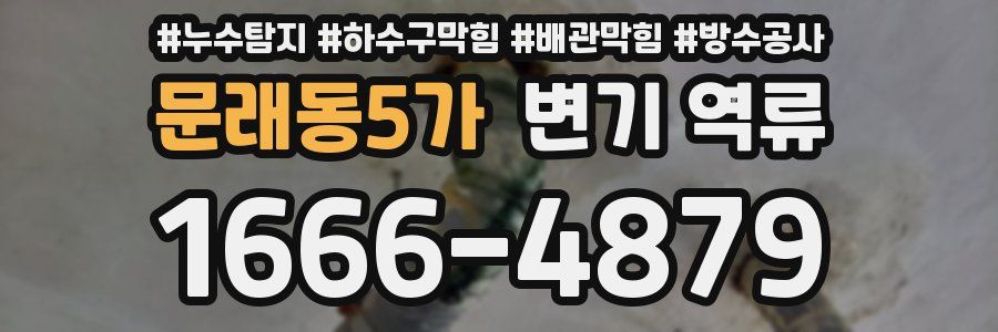 문래동5가 변기 역류