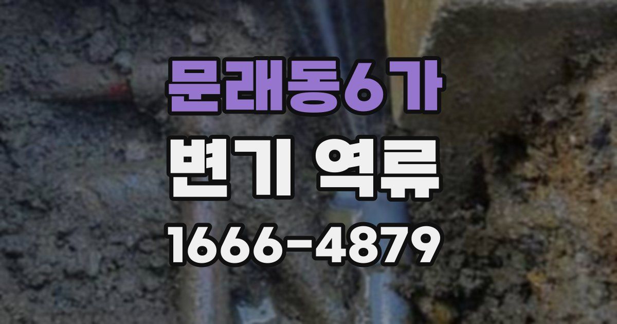 문래동6가 변기 역류