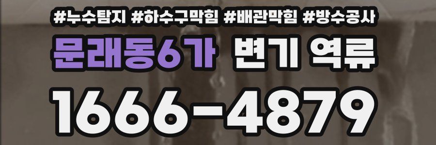문래동6가 변기 역류