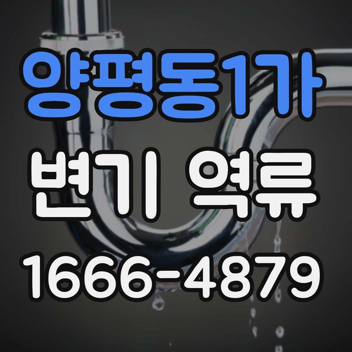 양평동1가 변기 역류