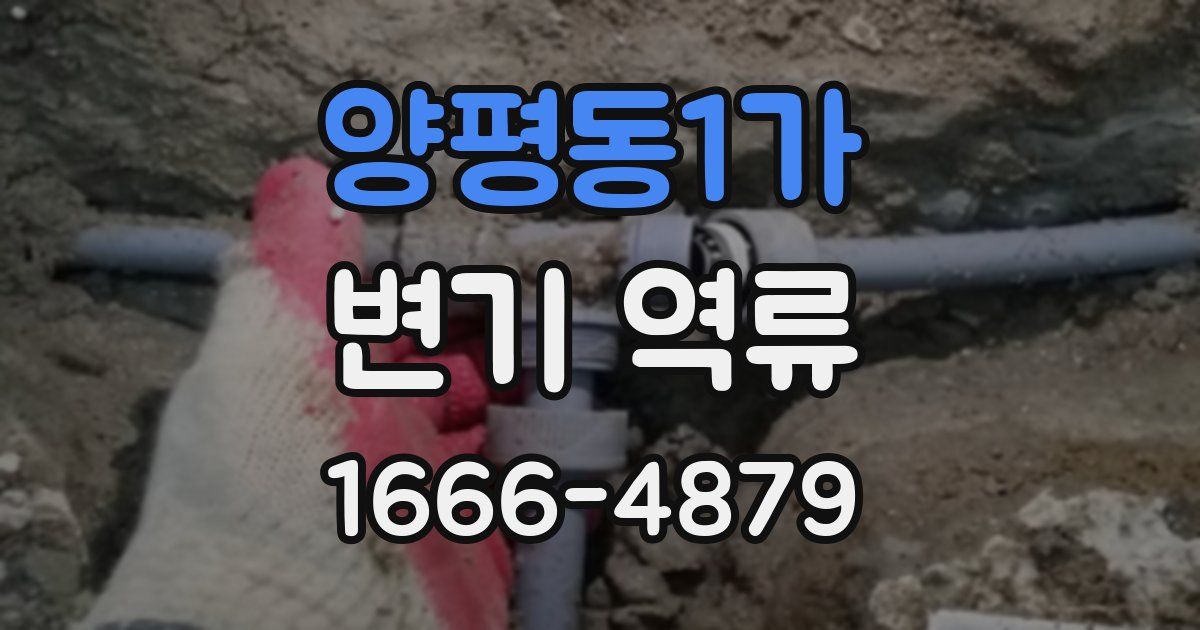 양평동1가 변기 역류