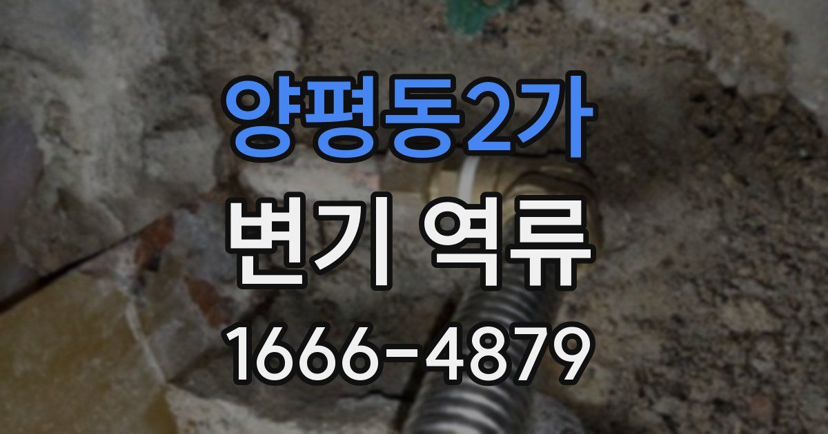 양평동2가 변기 역류
