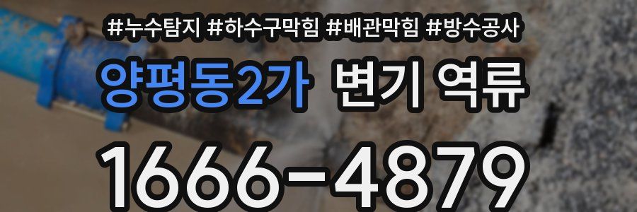 양평동2가 변기 역류