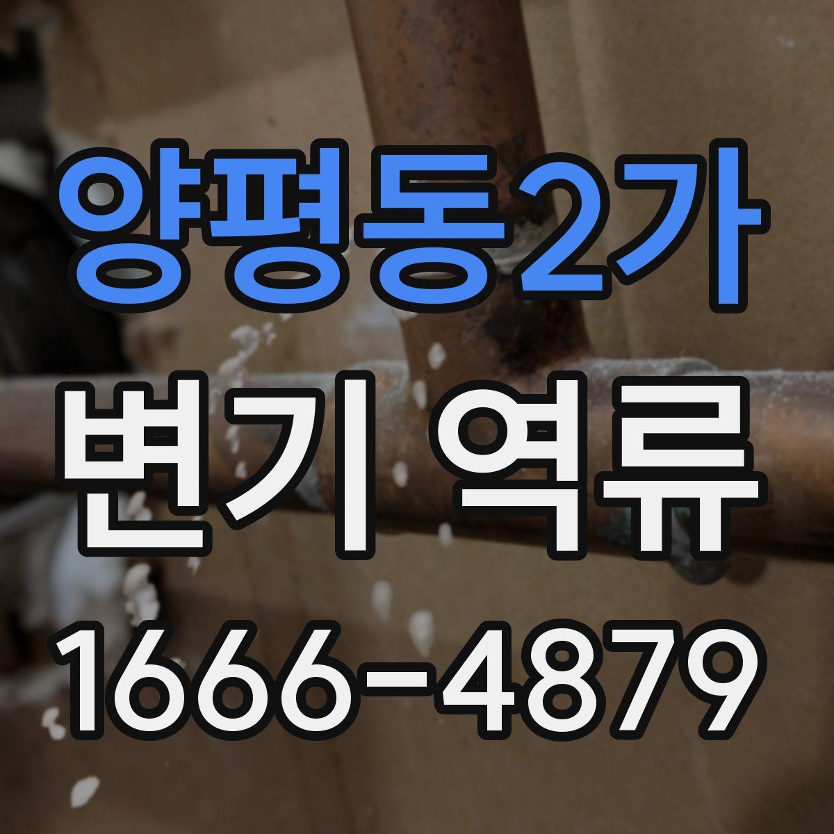 양평동2가 변기 역류