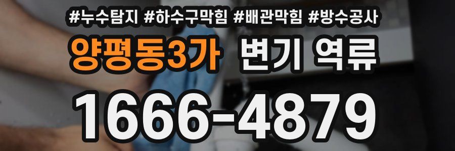 양평동3가 변기 역류