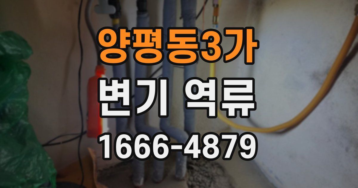 양평동3가 변기 역류