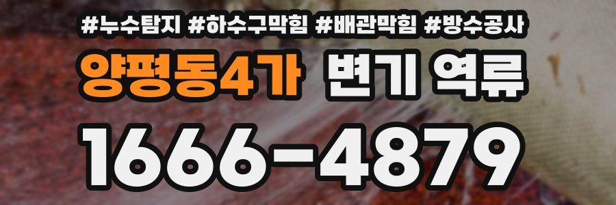양평동4가 변기 역류
