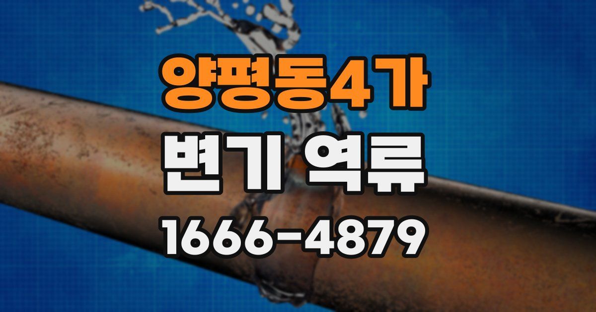 양평동4가 변기 역류