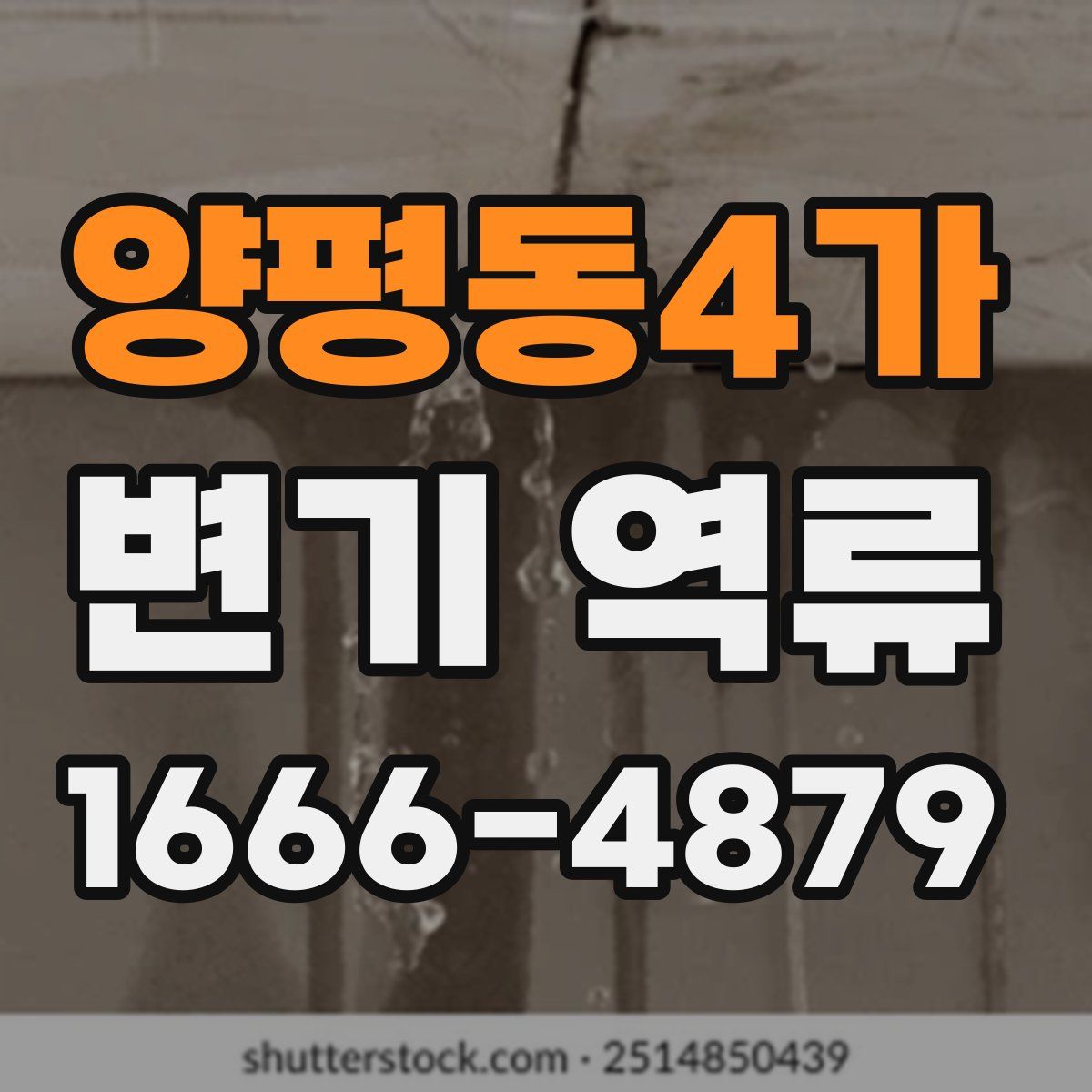 양평동4가 변기 역류