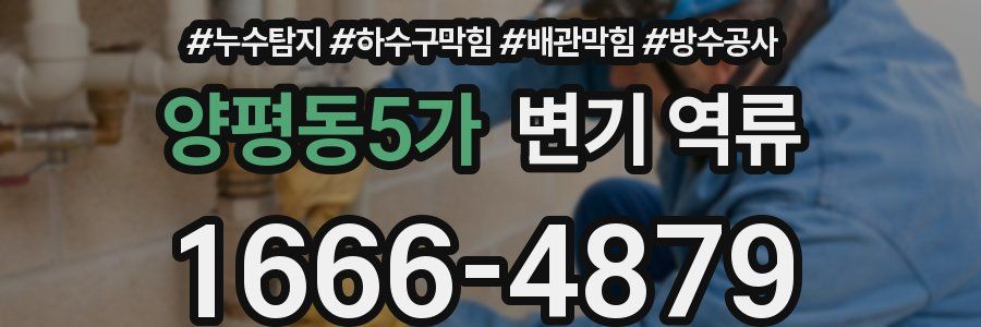 양평동5가 변기 역류