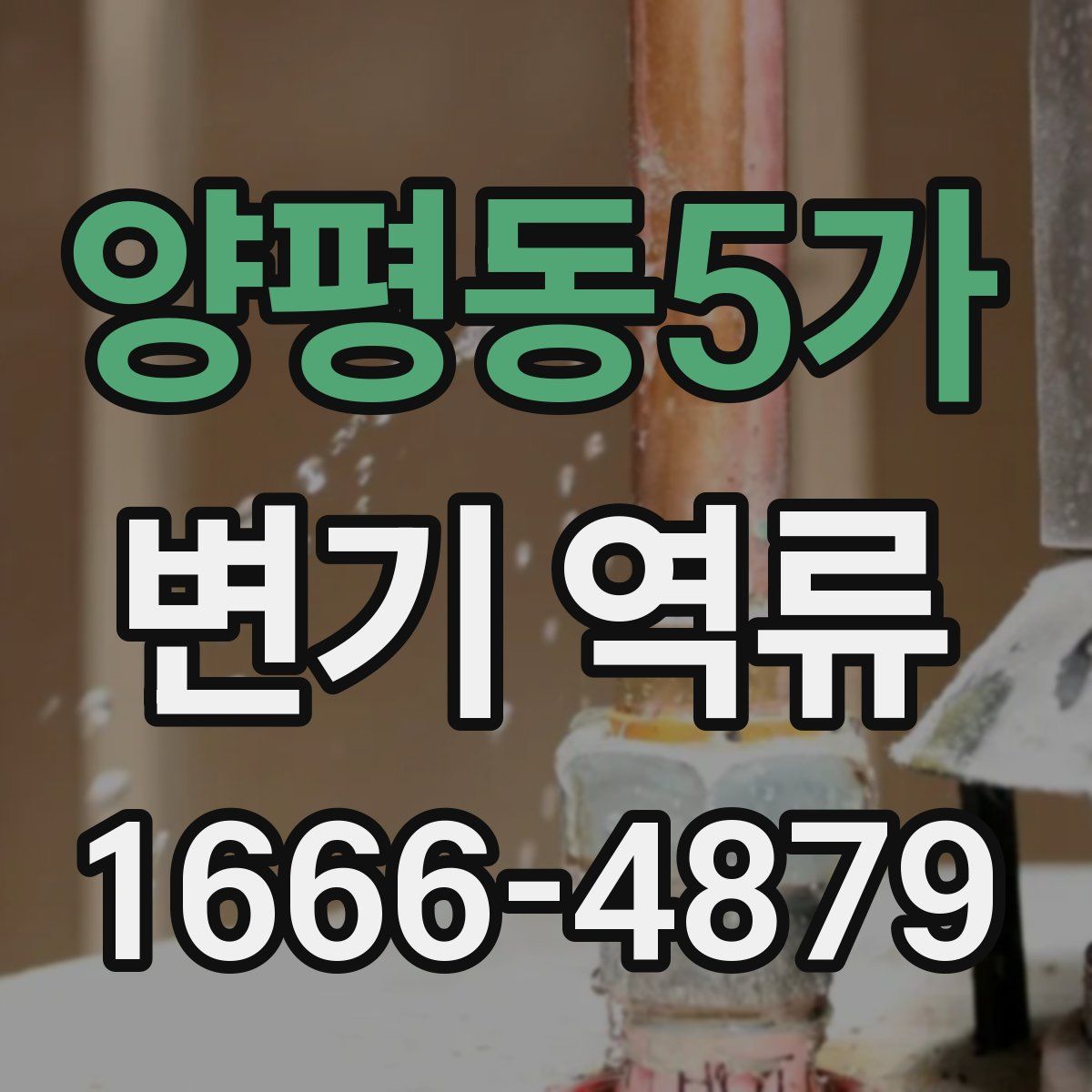 양평동5가 변기 역류