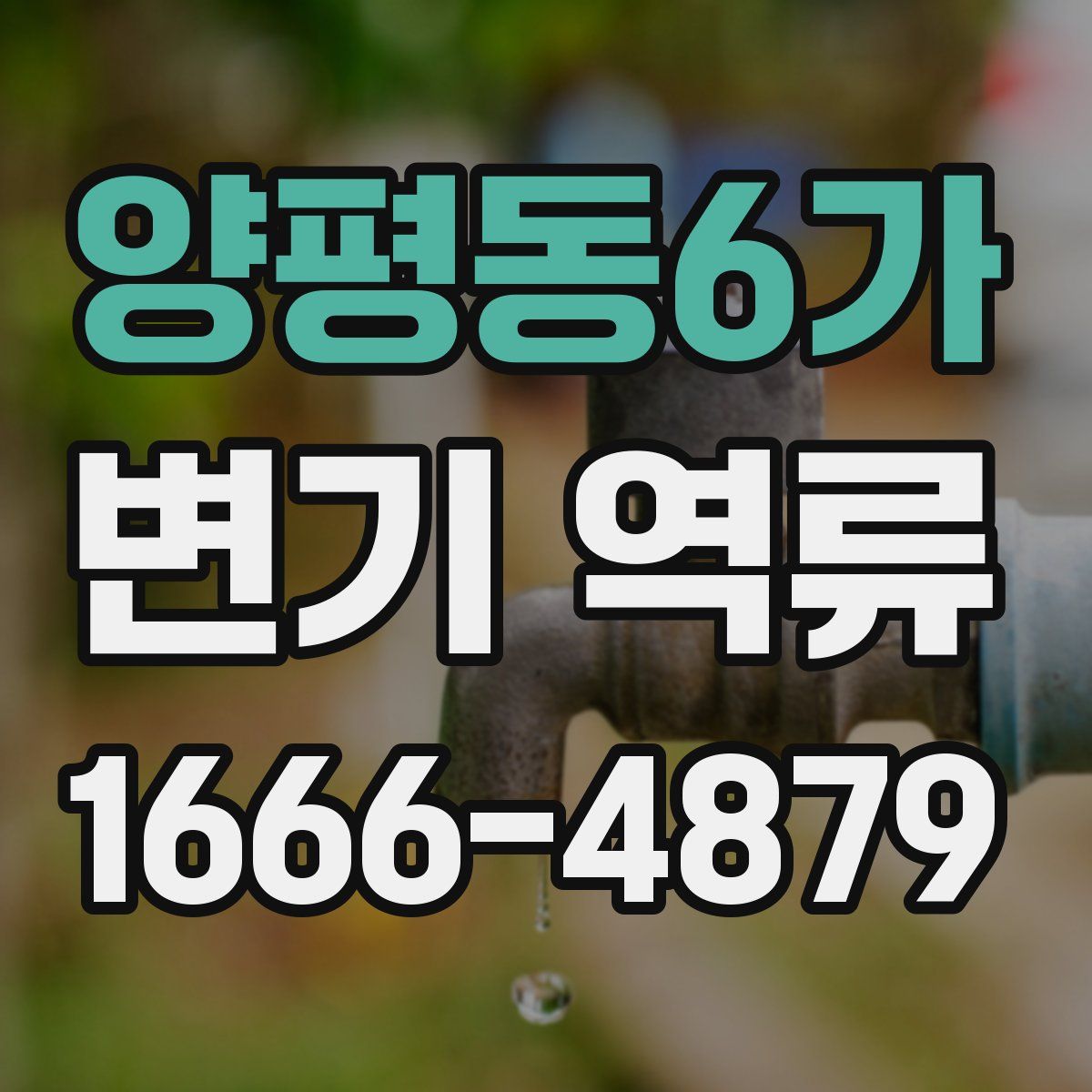 양평동6가 변기 역류