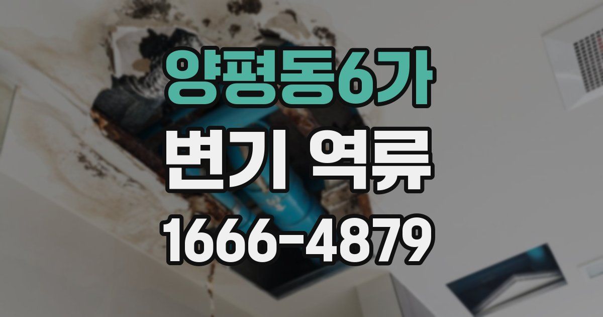 양평동6가 변기 역류