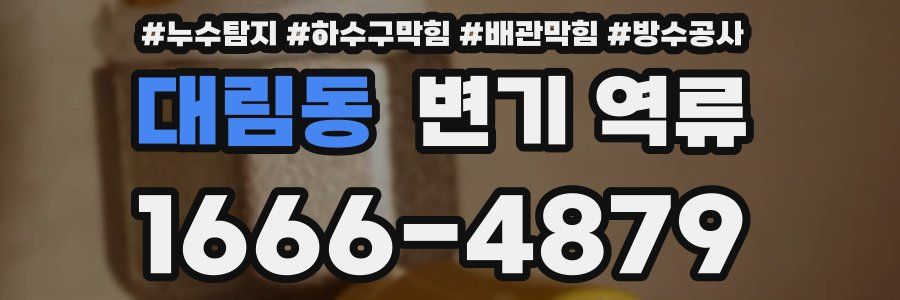 대림동 변기 역류