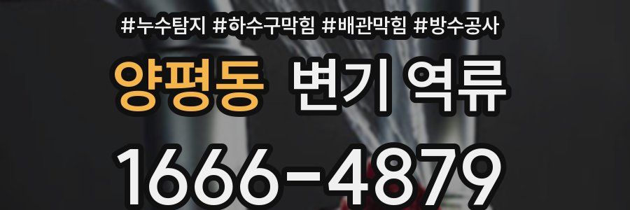 양평동 변기 역류