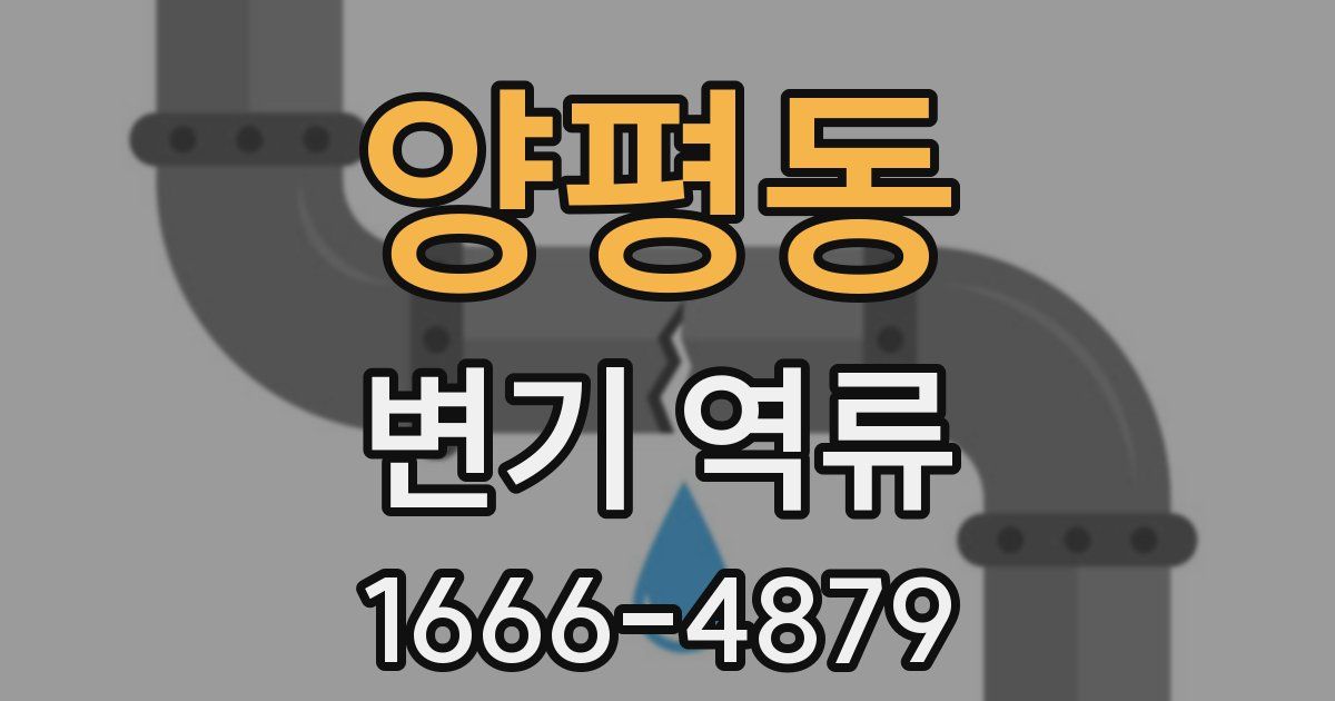 양평동 변기 역류