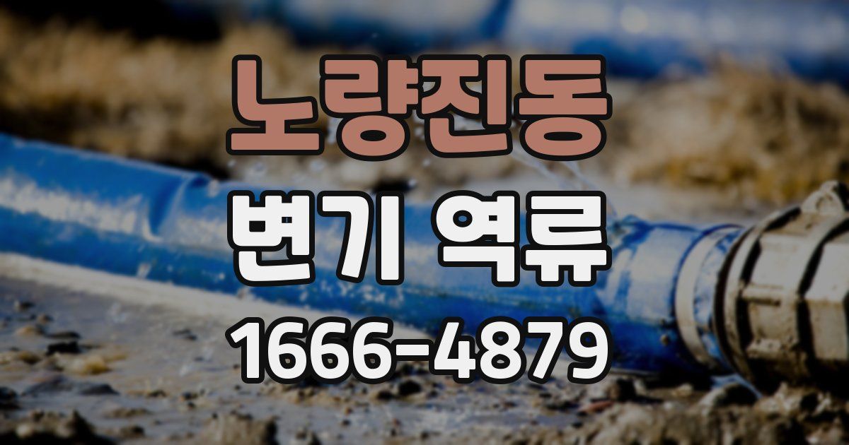 노량진동 변기 역류