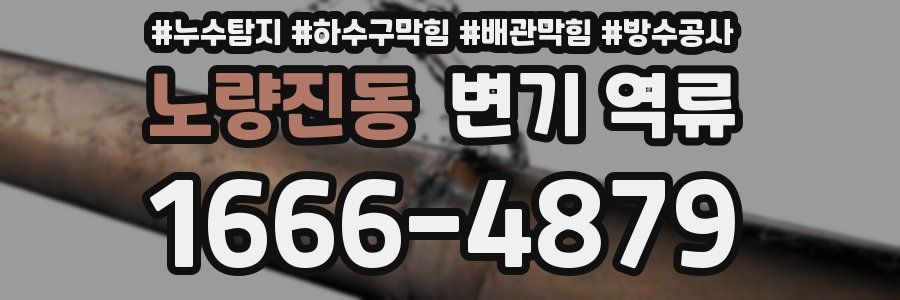 노량진동 변기 역류