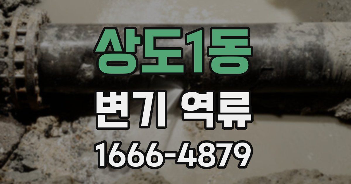 상도1동 변기 역류