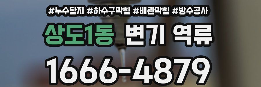 상도1동 변기 역류