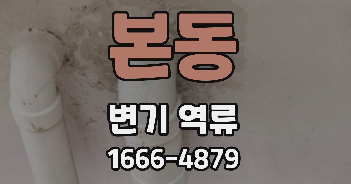 본동 변기 역류