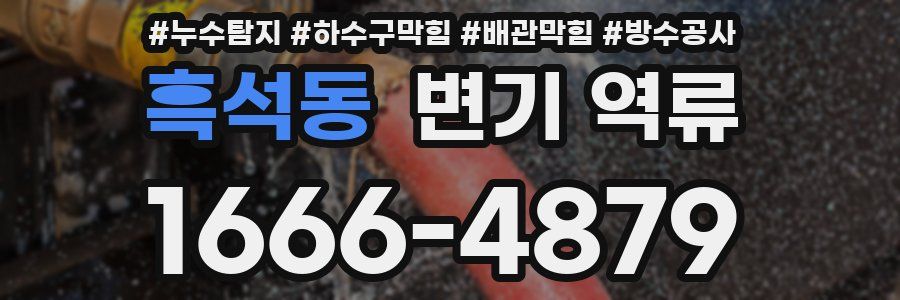 흑석동 변기 역류